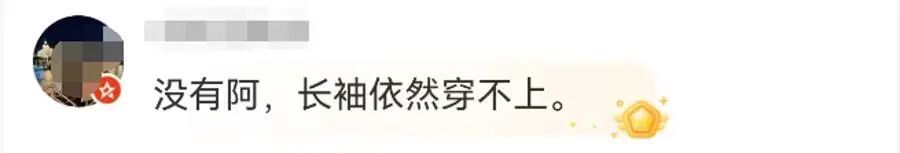 终于等到你！这个周末上海有望“一夜入秋”！明天大雨，今年桂花还开不开？