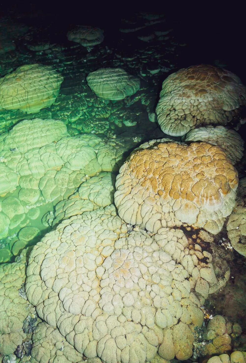 重庆发现一处罕见溶洞！有石膏晶体群、熊猫头骨