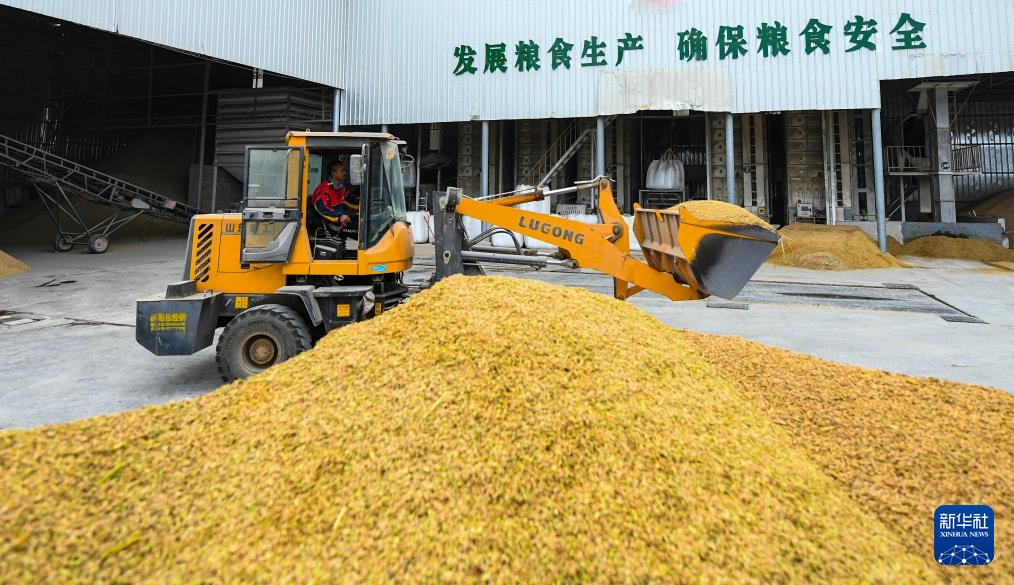 多措并举 抢收秋粮