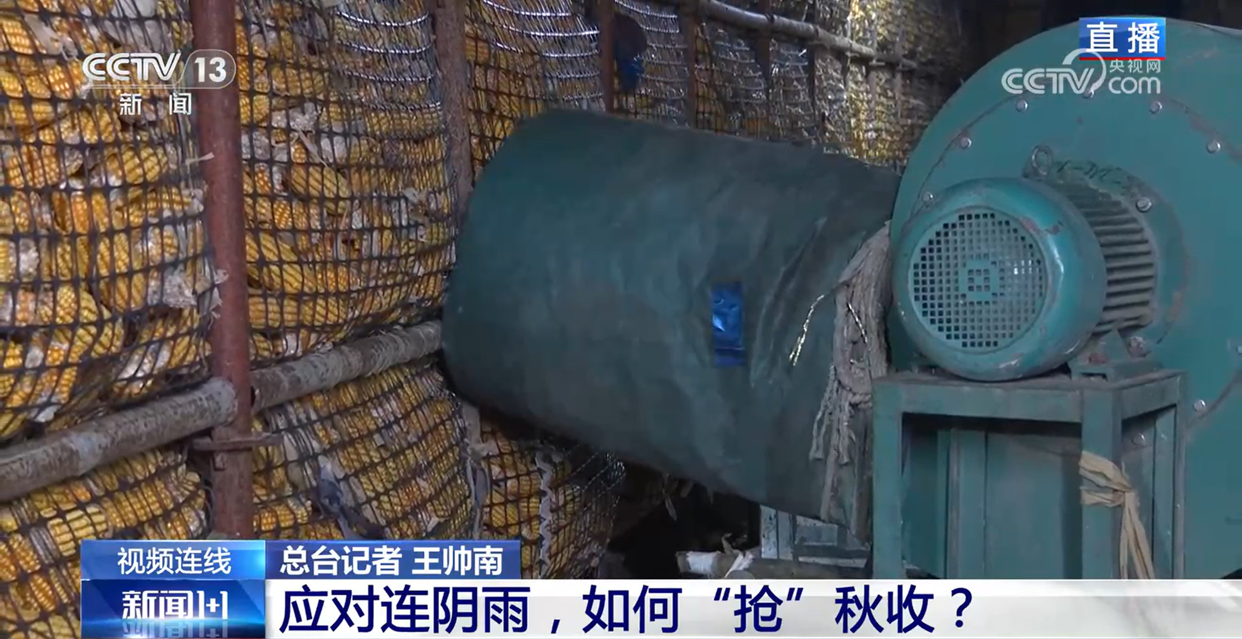 应对连阴雨,如何“抢”秋收? 应对连阴雨,如何“抢”秋收?