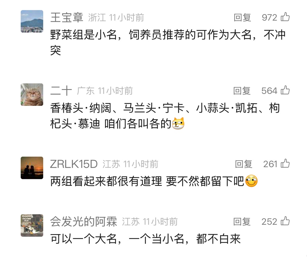 给大猩猩取名叫“香椿头”“马兰头”？网友：我们是认真的！