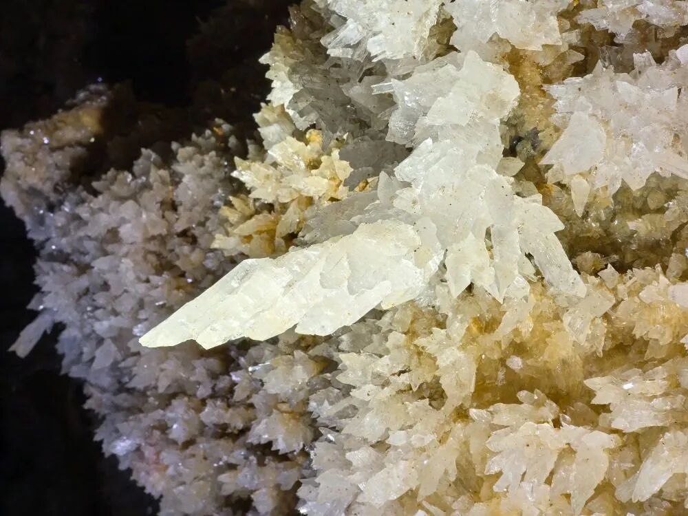 重庆发现一处罕见溶洞！有石膏晶体群、熊猫头骨