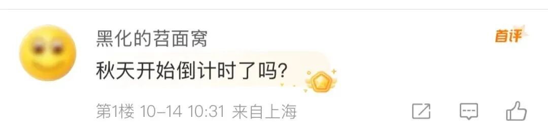 终于等到你！这个周末上海有望“一夜入秋”！明天大雨，今年桂花还开不开？