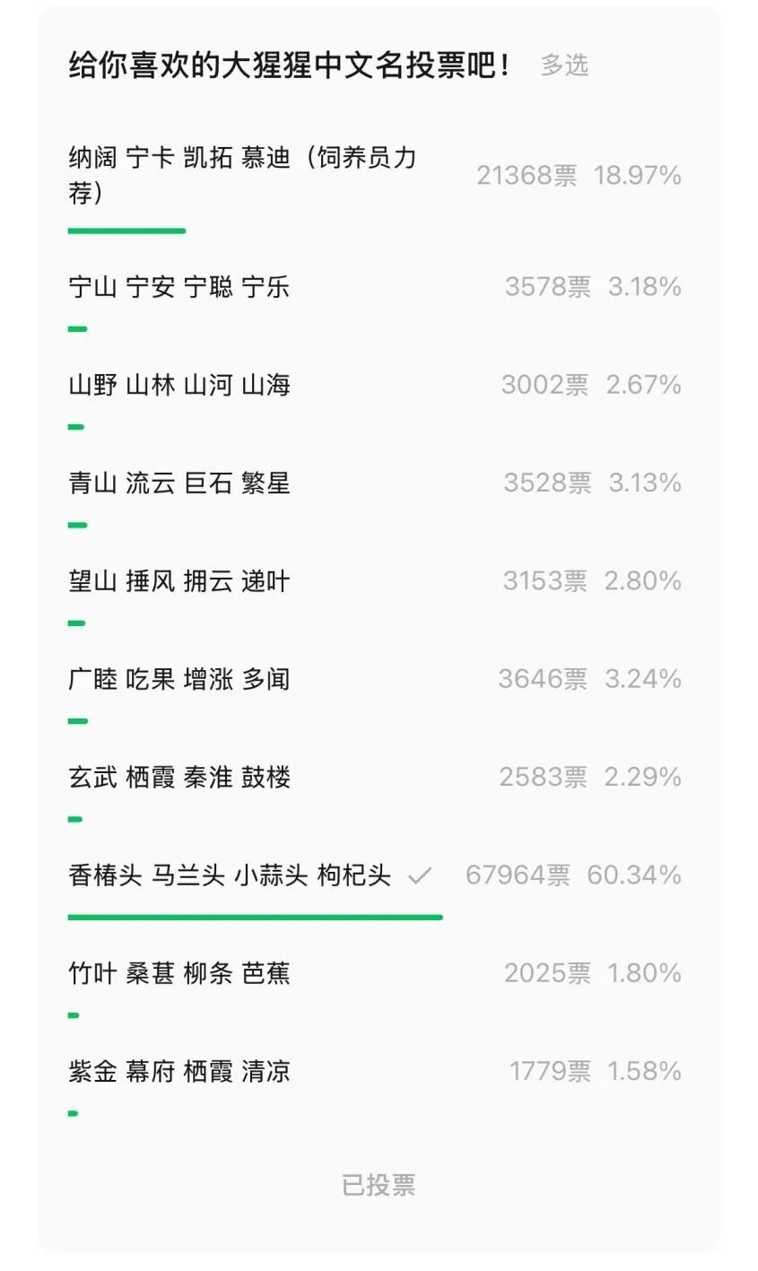 给大猩猩取名叫“香椿头”“马兰头”？网友：我们是认真的！