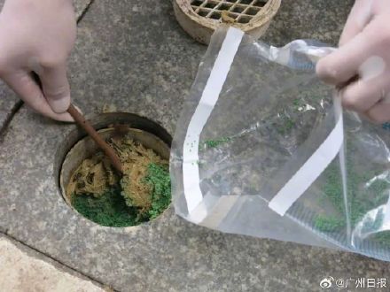 男子因采光不好给220年古樟树投毒，已被采取刑事强制措施
