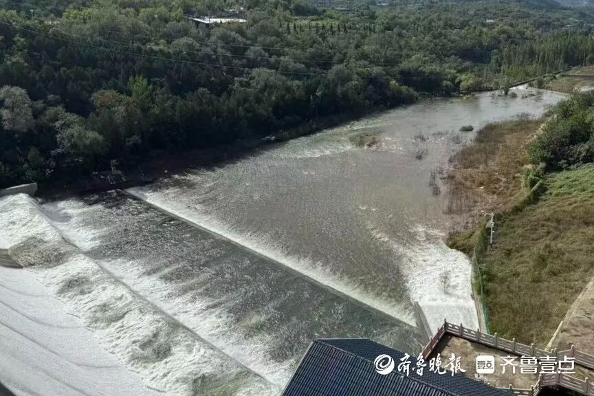 太壮观了！济南锦绣川水库开闸放水，大量鲢鱼被冲出，“一网子下去能捞好几条”