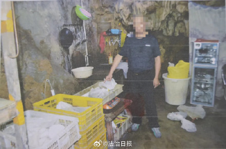 吓人！两男子携带上百条蛇住酒店被抓