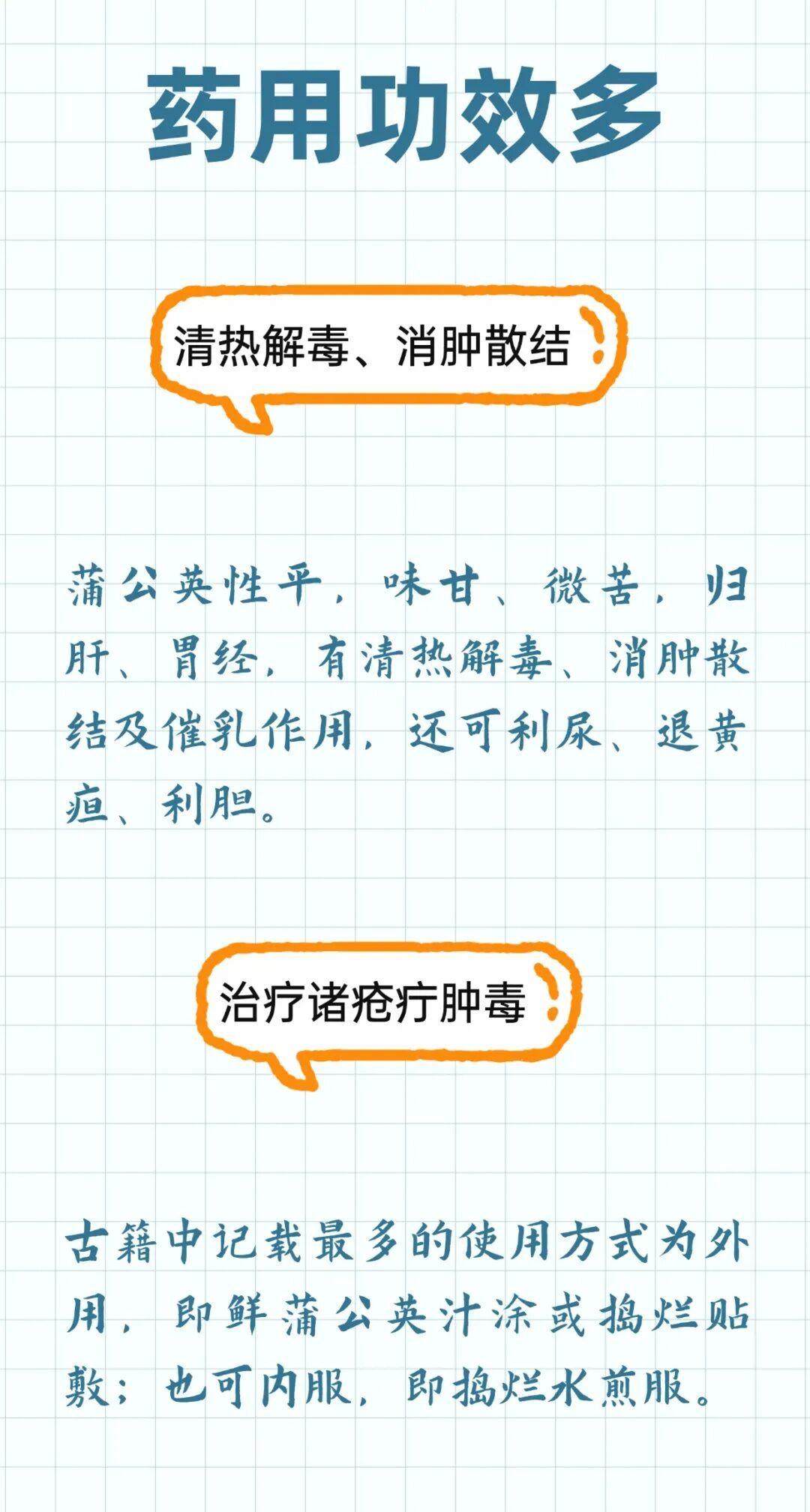 这个宝藏植物被称为“草药皇后”，清热解毒、消肿散结，很多人不知道！
