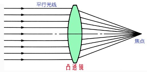 谁能想到，猫咪喝水的鱼缸竟烧了家！