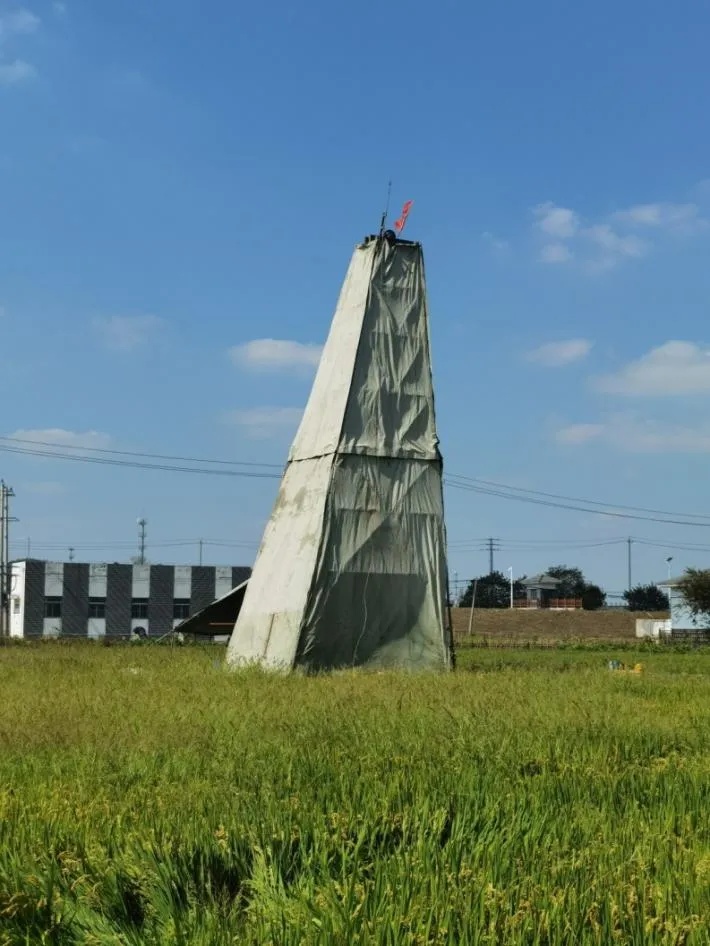 重大突破！江苏新发现一处大型锶矿