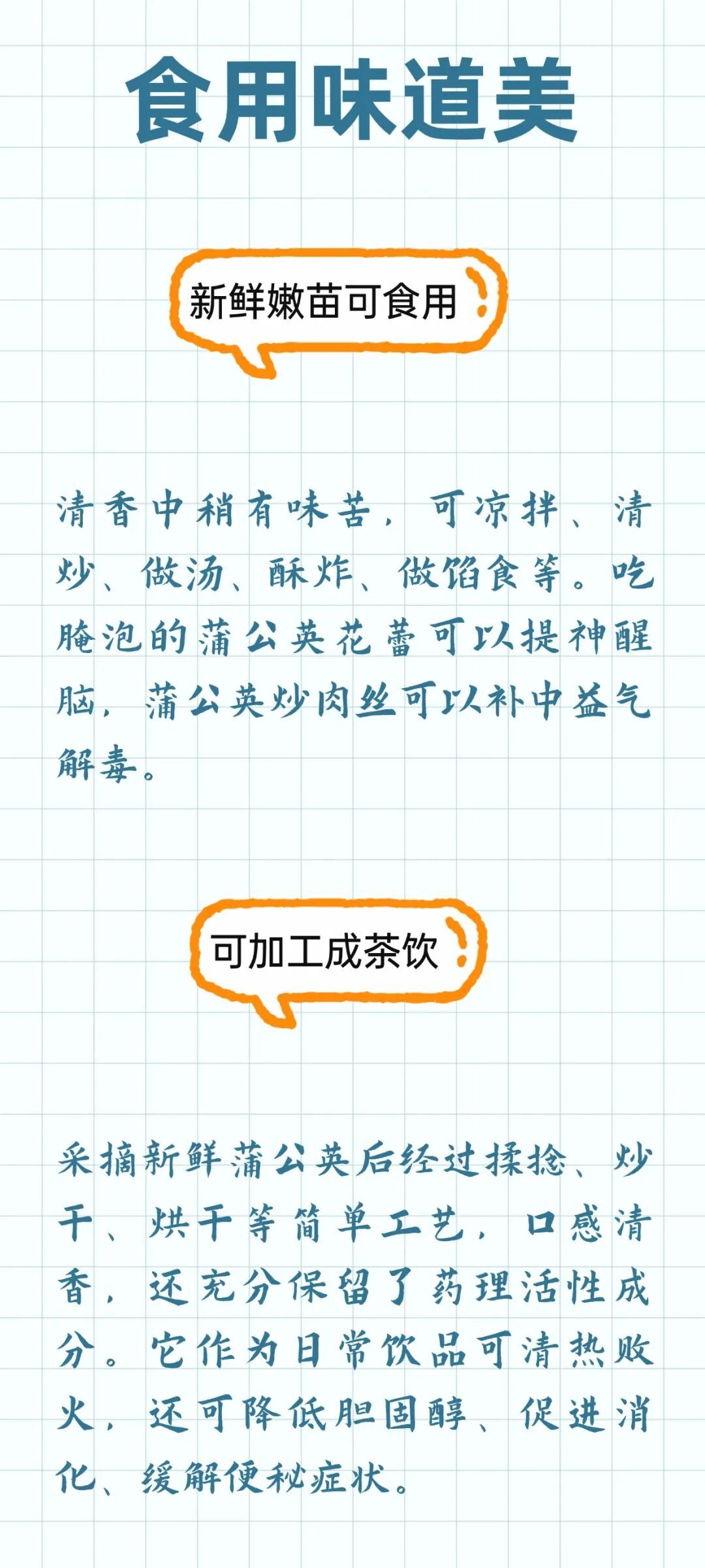 这个宝藏植物被称为“草药皇后”，清热解毒、消肿散结，很多人不知道！