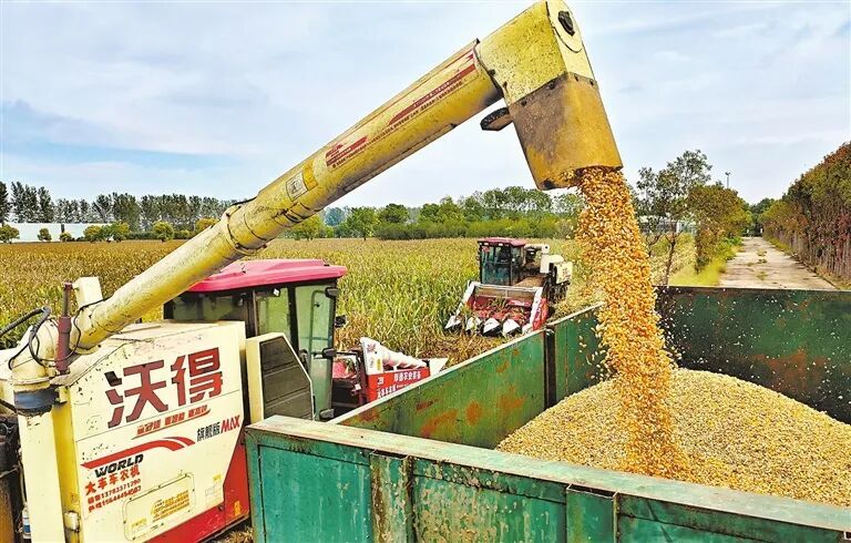 涉河南大部!连阴雨和农田渍涝灾害风险预警发布;“抢”秋收,这样做→ 涉河南大部!连阴雨和农田渍涝灾害风险预警发布;“抢”秋收,这样做→