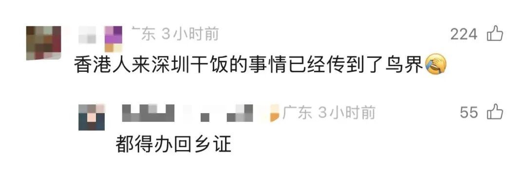 香港鹦鹉每天“北上干饭”?深圳网友:来了就是“深圳鸟” 香港鹦鹉每天“北上干饭”?深圳网友:来了就是“深圳鸟”