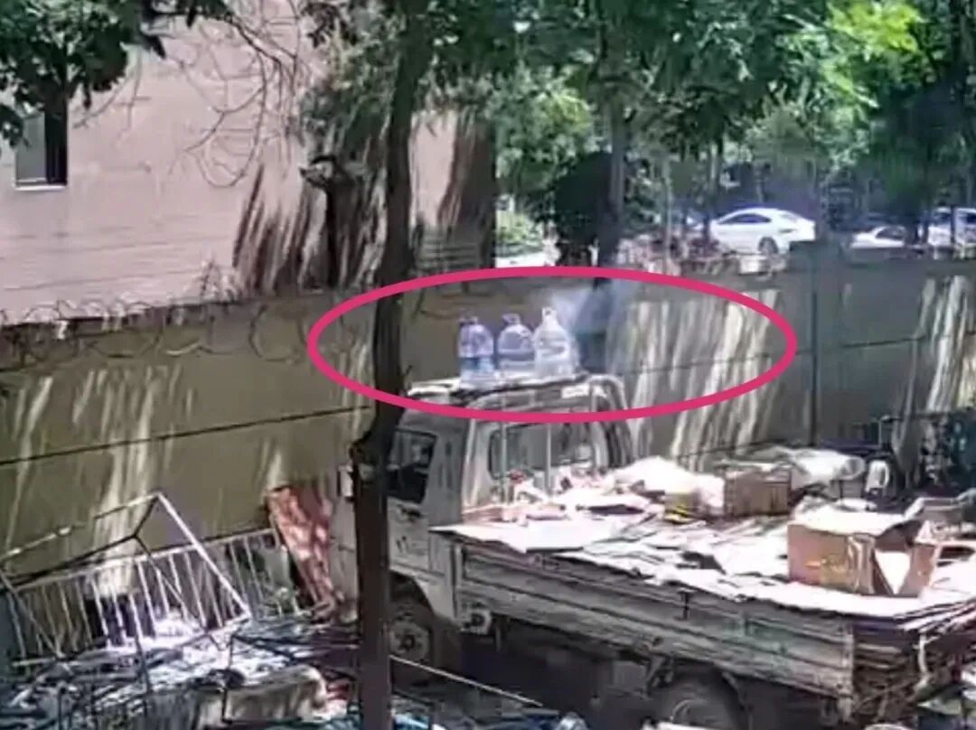 谁能想到，猫咪喝水的鱼缸竟烧了家！