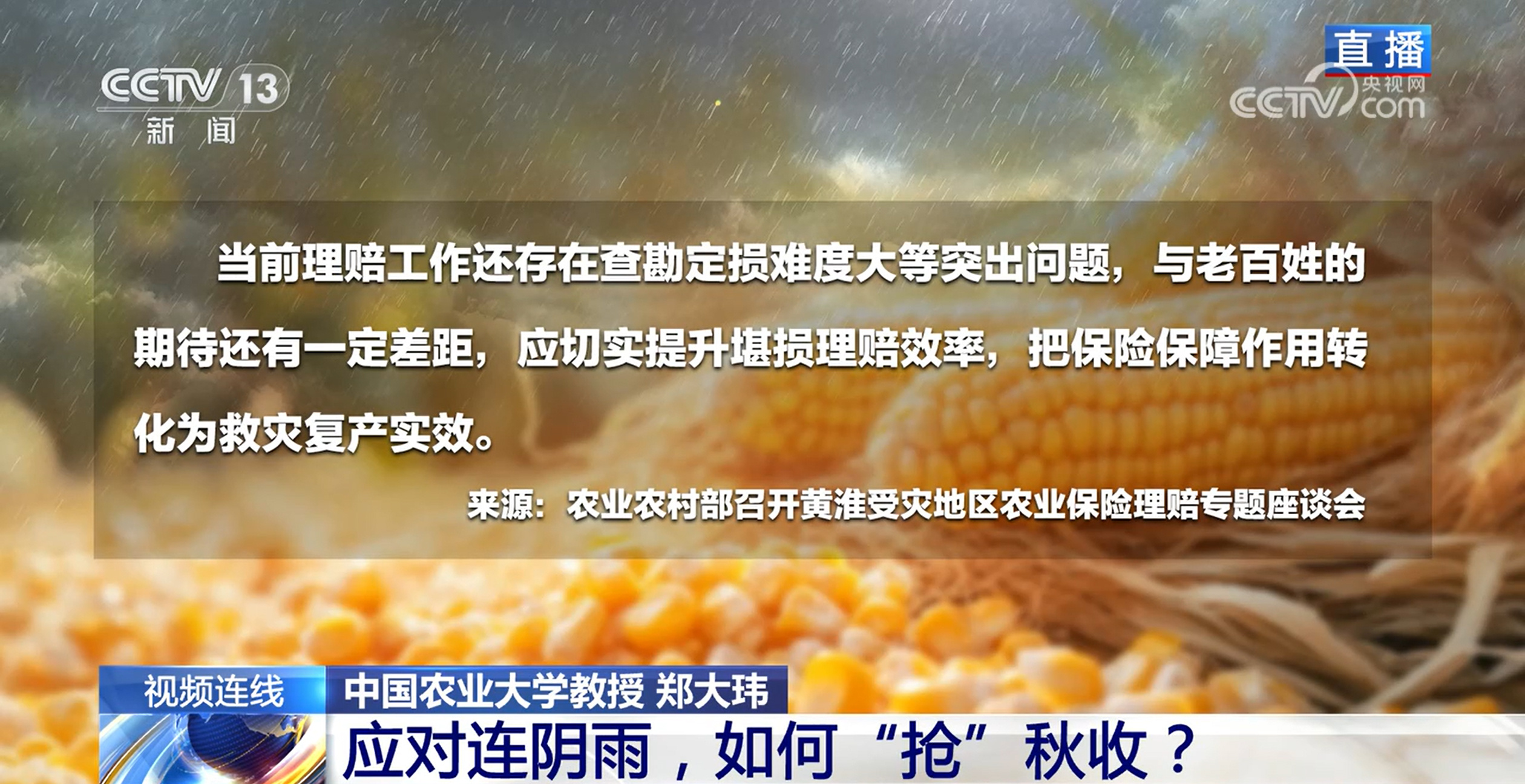 应对连阴雨,如何“抢”秋收? 应对连阴雨,如何“抢”秋收?