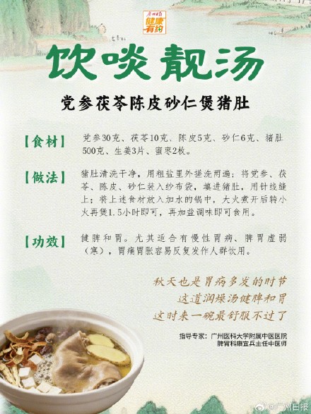 党参茯芬陈皮砂仁煲猪肚，健脾养胃