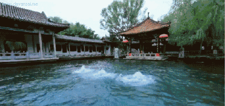 趵突泉地下水位近60年最高