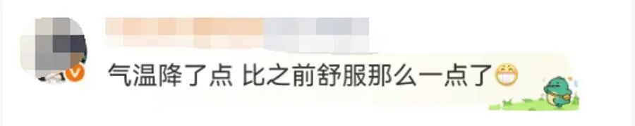 终于等到你！这个周末上海有望“一夜入秋”！明天大雨，今年桂花还开不开？