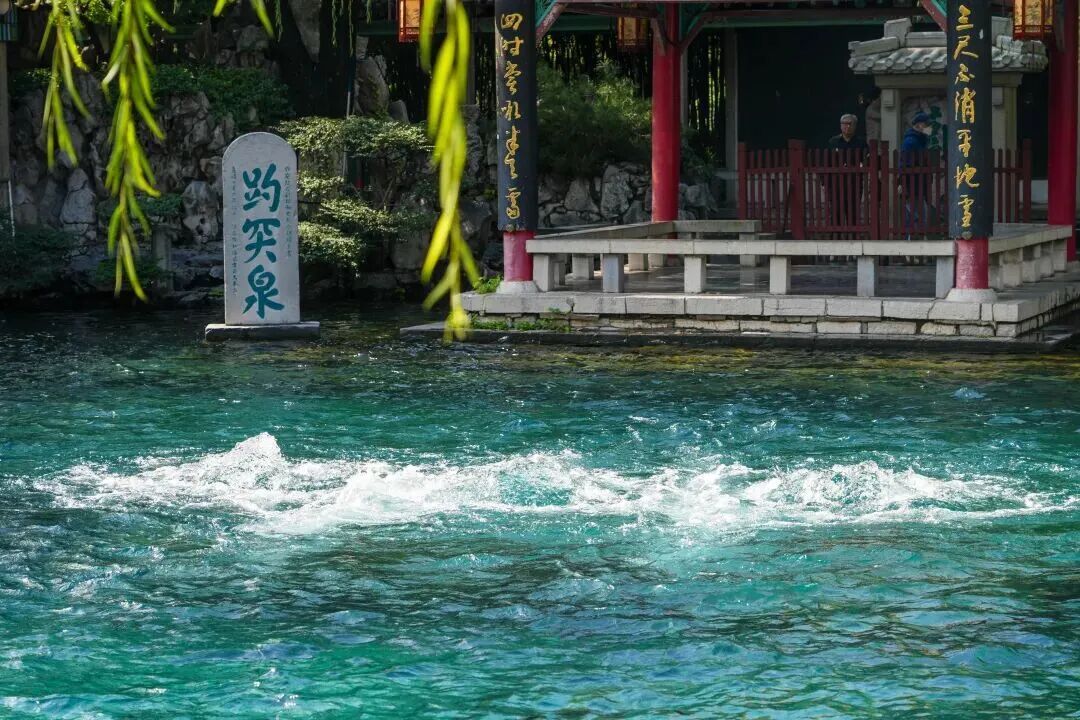 30.29米、30.71米！济南趵突泉、黑虎泉地下水位连创新高！