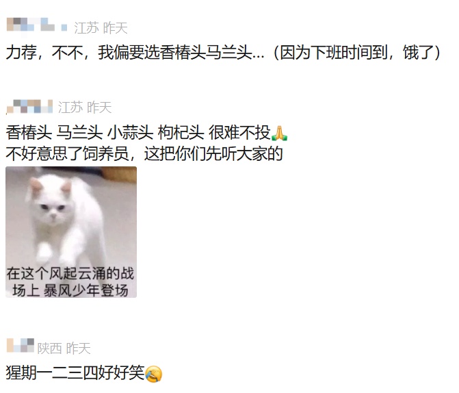 “野菜F4”断层第一，大猩猩征名“翻车”？园方：认了！