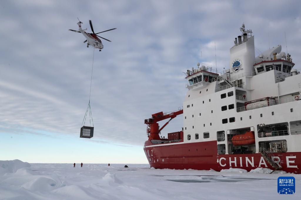 当北极科考遇上北极熊