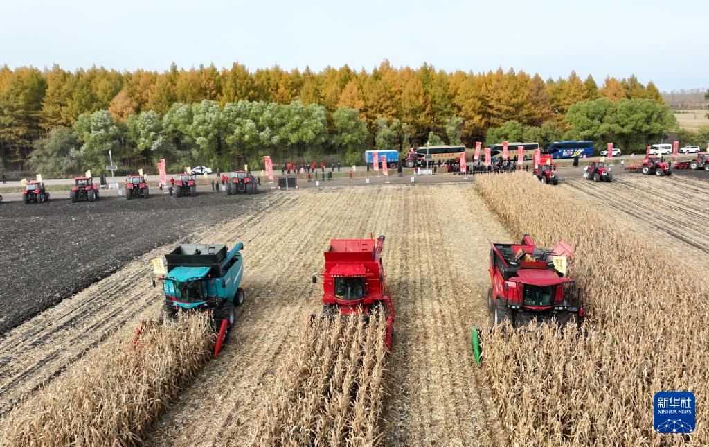 产粮第一大省黑龙江秋收超六成 产粮第一大省黑龙江秋收超六成