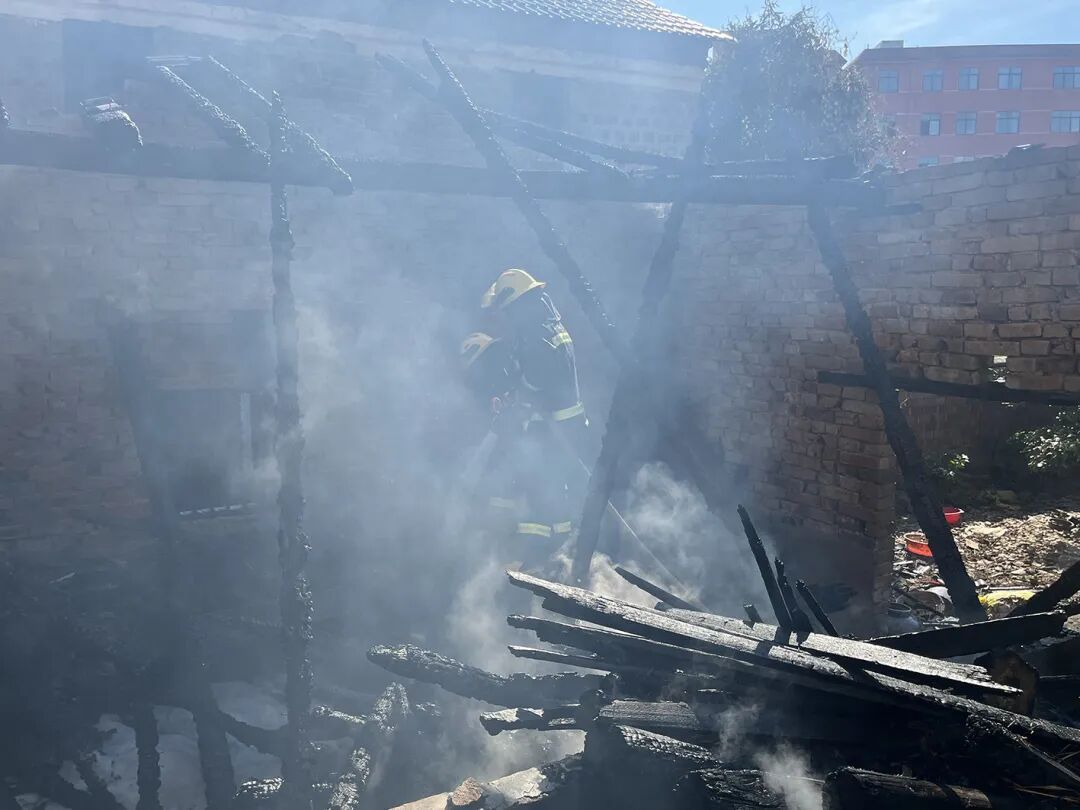 为除掉几只跳蚤，夫妻俩竟“赔”了一套房？