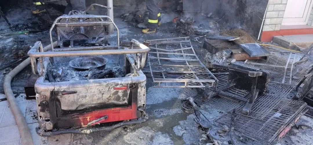 为除掉几只跳蚤，夫妻俩竟“赔”了一套房？