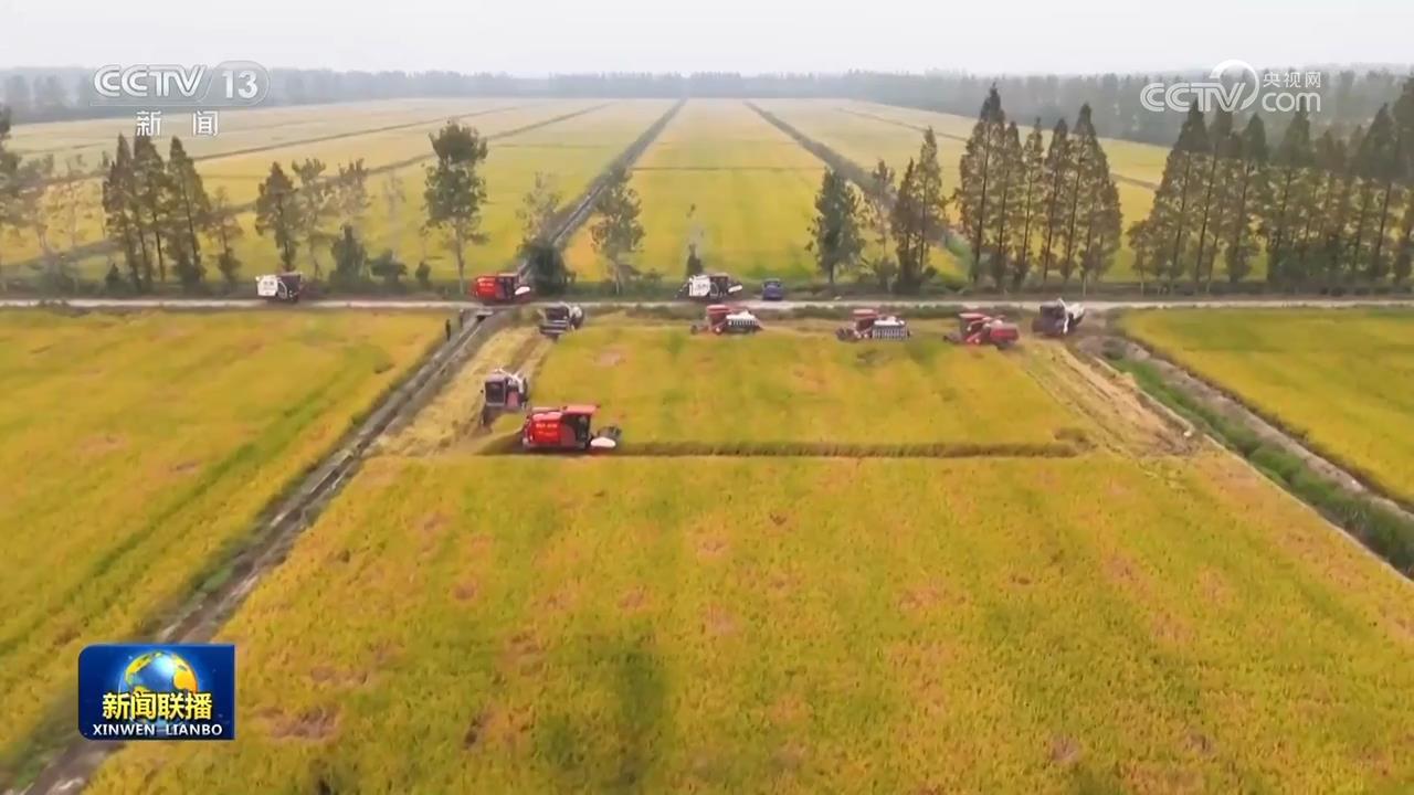 全国秋粮收获进入高峰期 进度过六成 全国秋粮收获进入高峰期 进度过六成