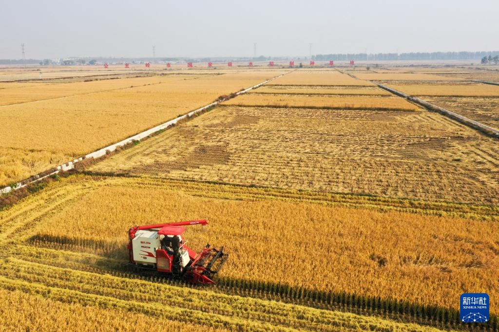 吉林:机械化助力秋收加速 吉林:机械化助力秋收加速