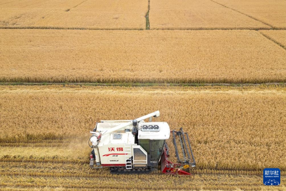 产粮第一大省黑龙江秋收超六成 产粮第一大省黑龙江秋收超六成