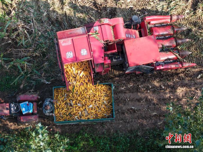 山东仍有全省性降雨过程 或进一步延缓秋收进度