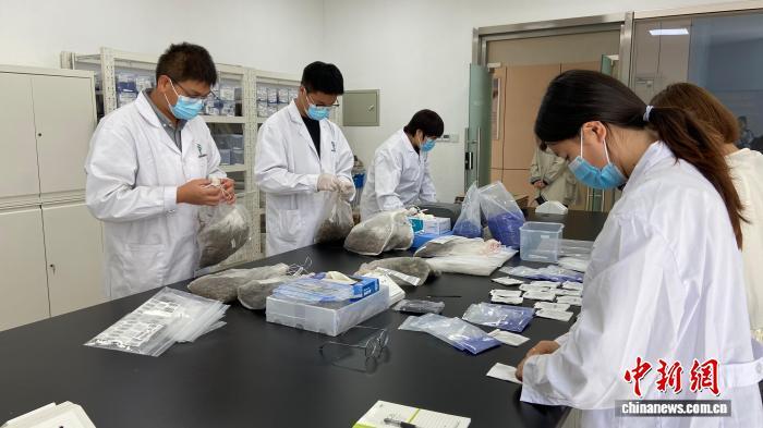 山东基本查清林草种质资源“家底” 丰富生物多样性数据库 山东基本查清林草种质资源“家底” 丰富生物多样性数据库