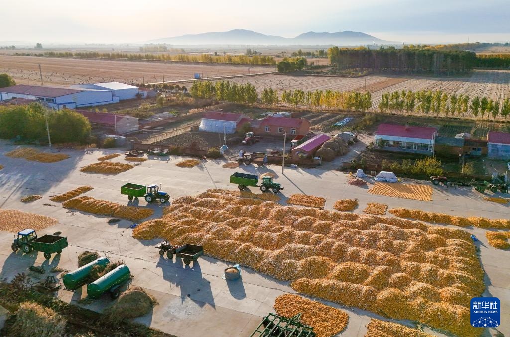 产粮第一大省黑龙江秋收超六成 产粮第一大省黑龙江秋收超六成