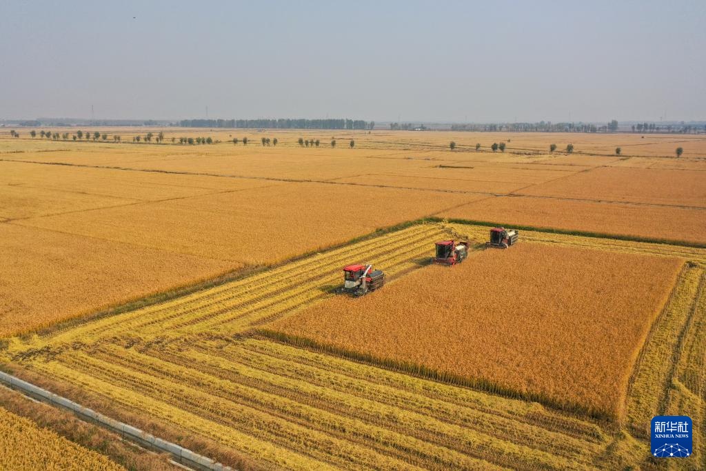 吉林:机械化助力秋收加速 吉林:机械化助力秋收加速