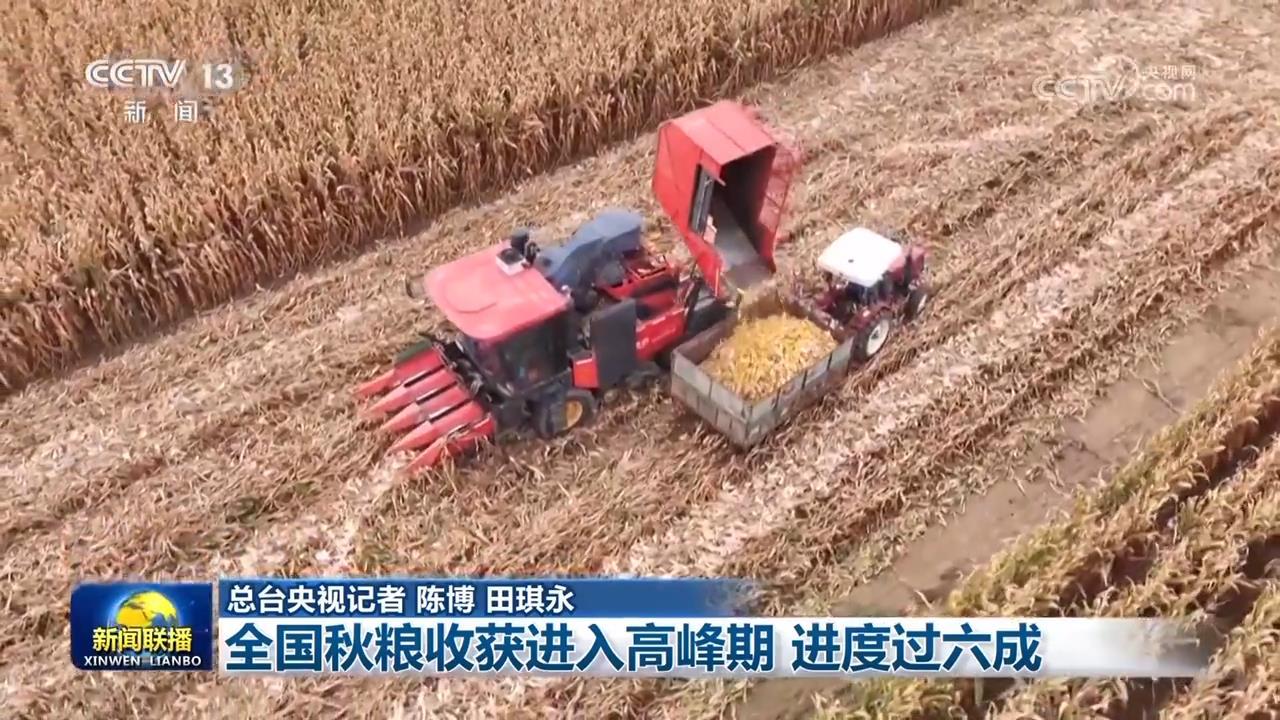 全国秋粮收获进入高峰期 进度过六成 全国秋粮收获进入高峰期 进度过六成