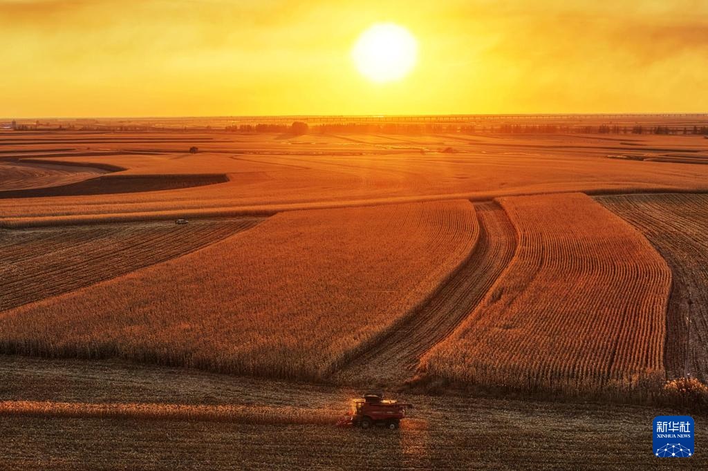 产粮第一大省黑龙江秋收超六成 产粮第一大省黑龙江秋收超六成