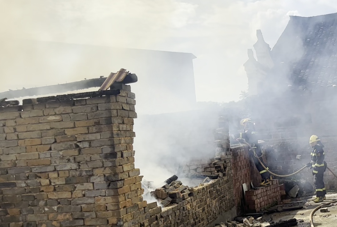 为除掉几只跳蚤，夫妻俩竟“赔”了一套房？