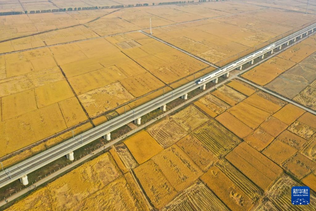 吉林:机械化助力秋收加速 吉林:机械化助力秋收加速