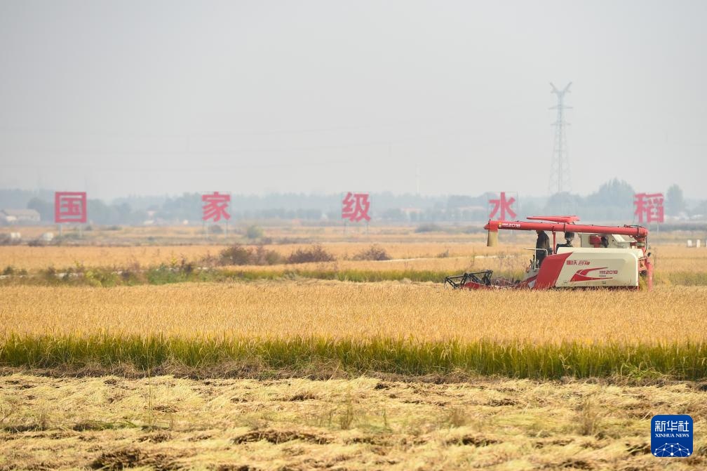 吉林:机械化助力秋收加速 吉林:机械化助力秋收加速