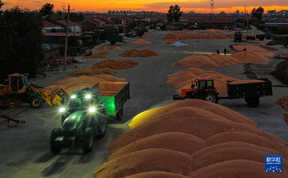 产粮第一大省黑龙江秋收超六成 产粮第一大省黑龙江秋收超六成