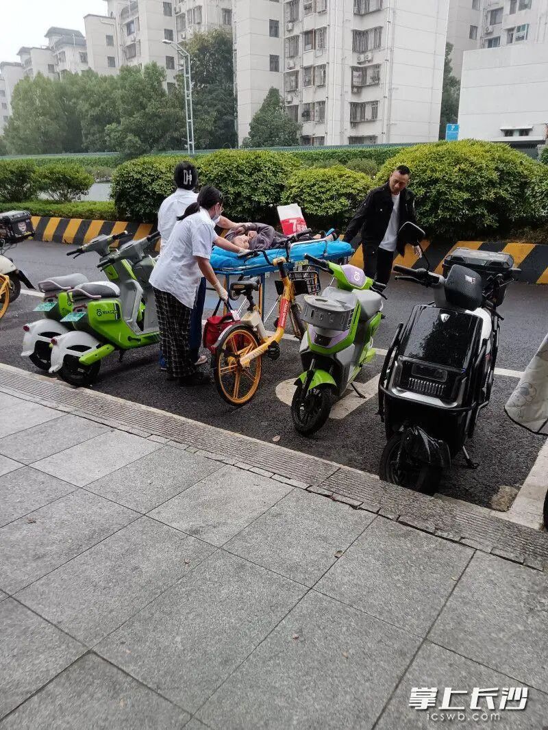 事发湖南烈士公园！80多岁老人不慎落湖，众多市民合力救助