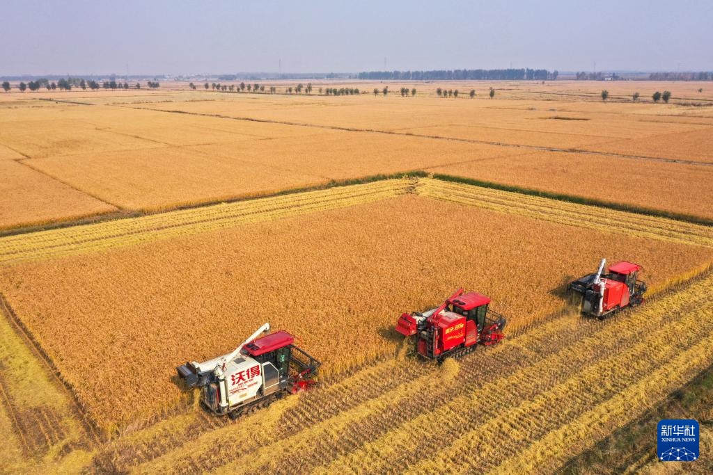 吉林:机械化助力秋收加速 吉林:机械化助力秋收加速