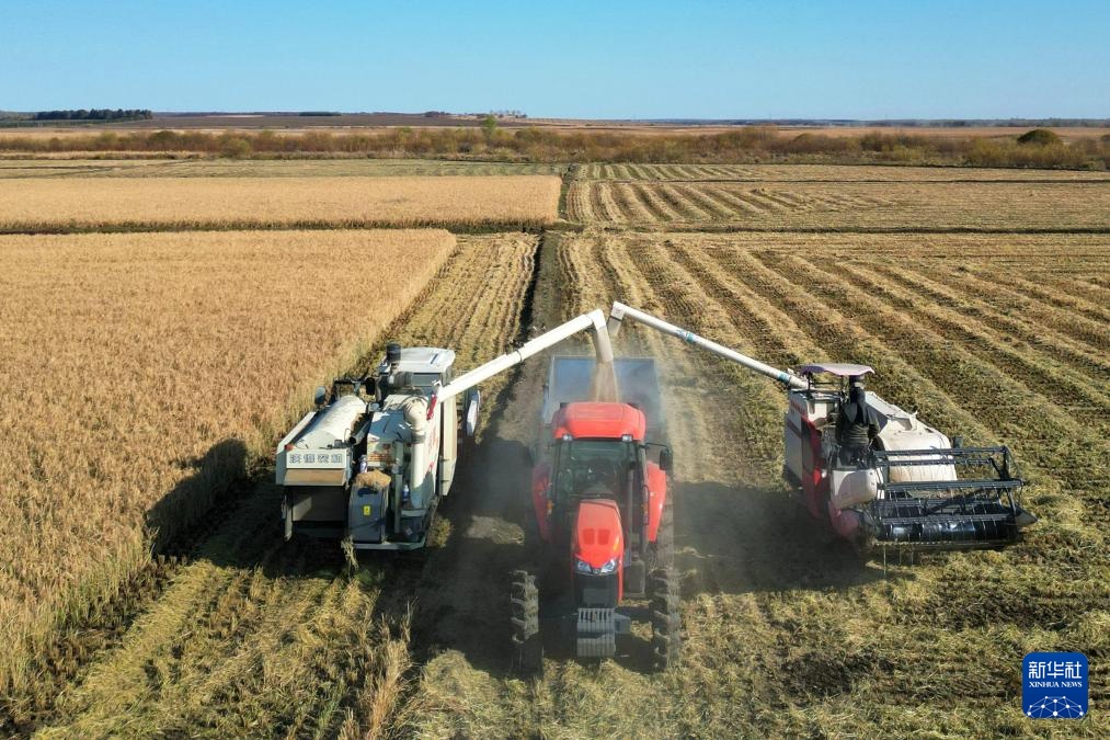产粮第一大省黑龙江秋收超六成 产粮第一大省黑龙江秋收超六成