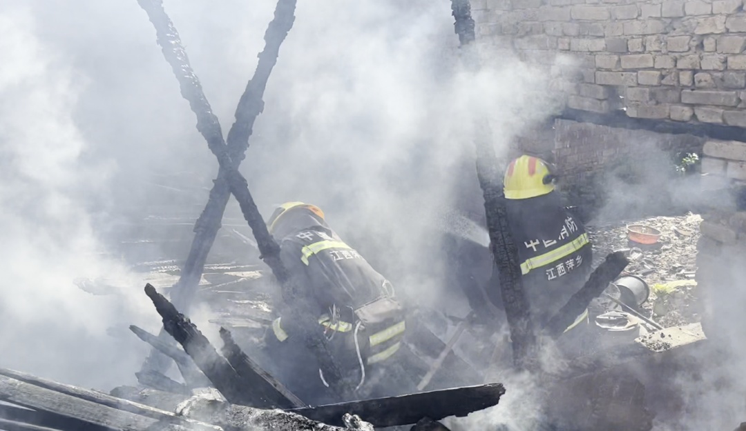 为除掉几只跳蚤，夫妻俩竟“赔”了一套房？