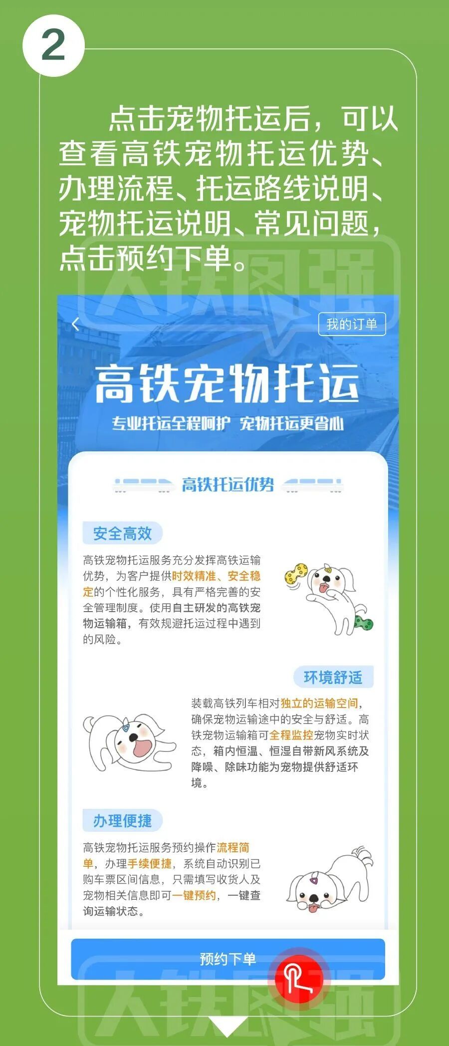 今天起，厦门北站可以托运宠物了！