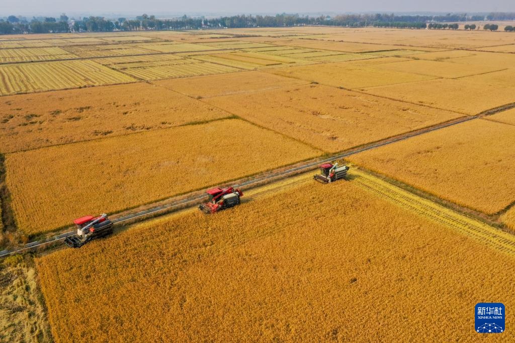 吉林:机械化助力秋收加速 吉林:机械化助力秋收加速