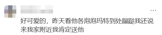 贝克汉姆逛遍上海就为买它！网友：我也没抢到...