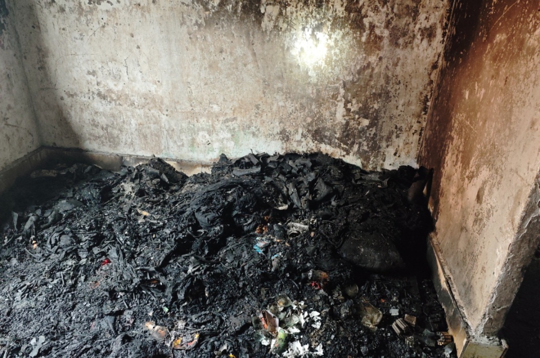 为除掉几只跳蚤，夫妻俩竟“赔”了一套房？