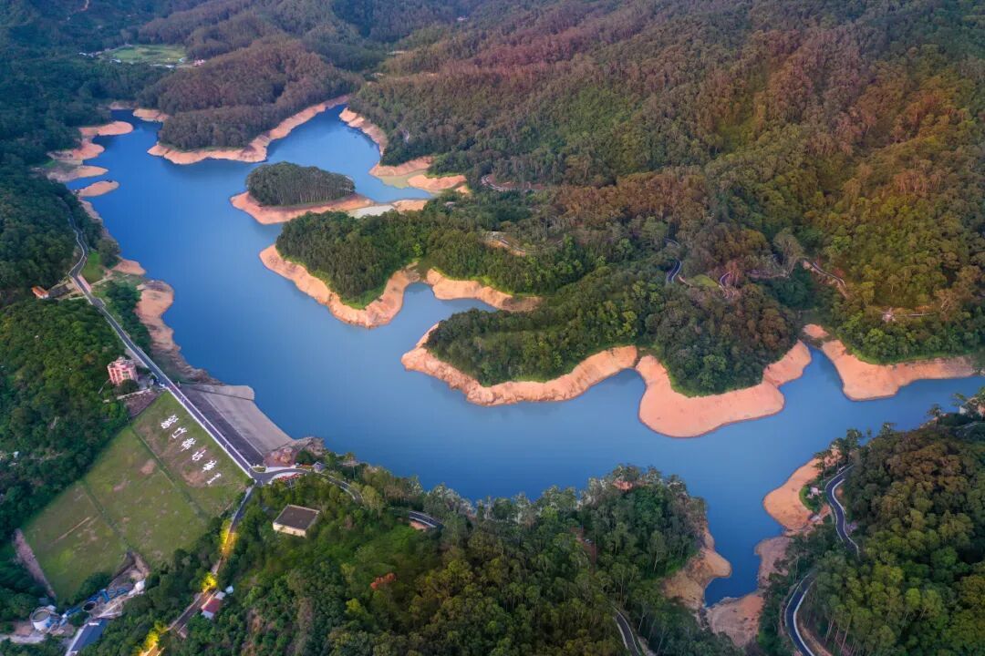 近4米长！东莞一林场惊现56斤巨蟒！